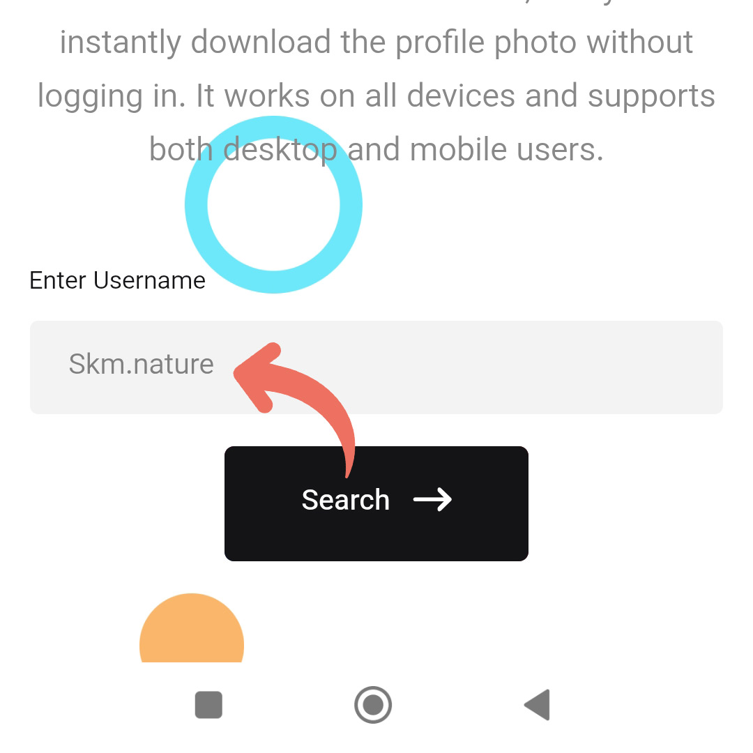 Step 2 dp downloader