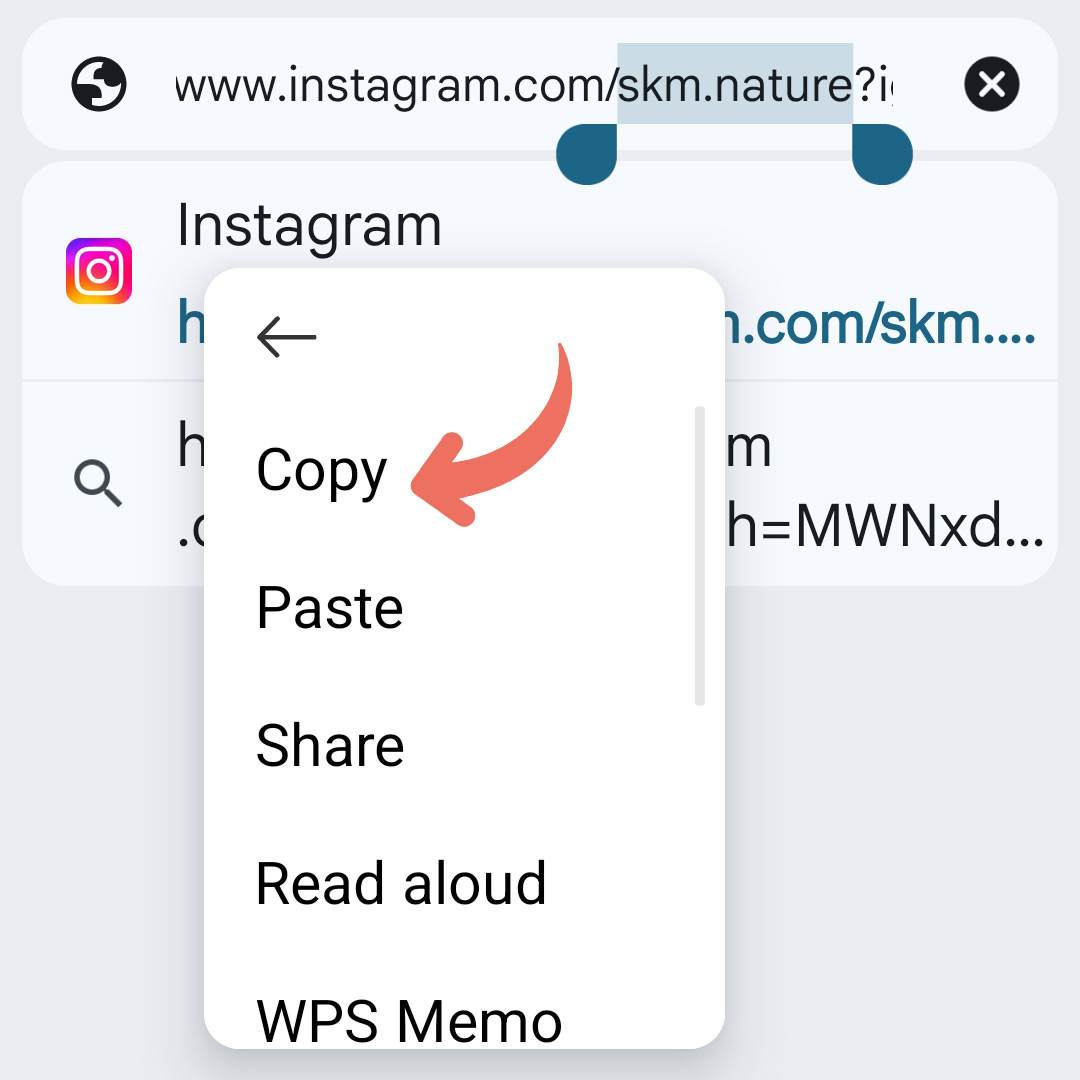Step 1 story downloader